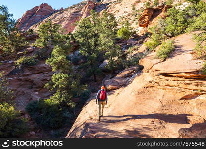 Hike in the Utah mountains. Hiking in unusual natural landscapes. Fantastic forms sandstone formations.