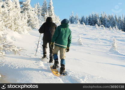 Hike in winter mountains