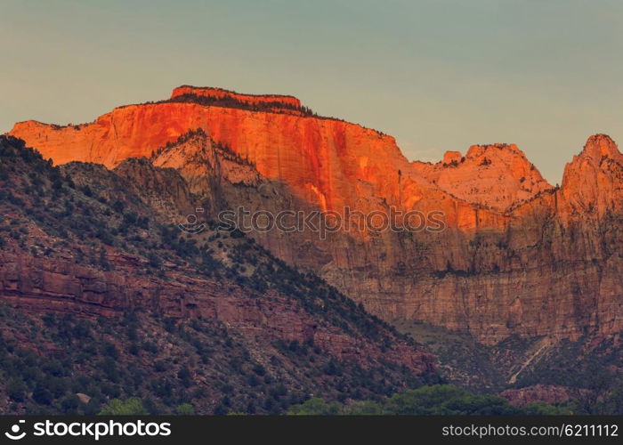 Hike in Zion National Park