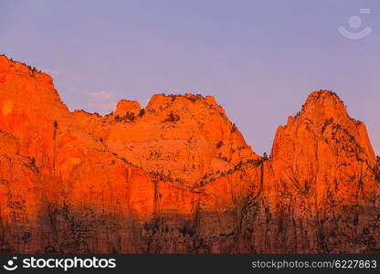 Hike in Zion National Park