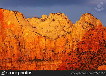 Hike in Zion National Park