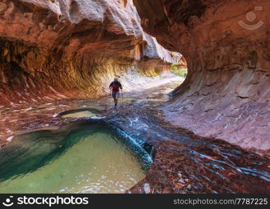 Hike in Zion National Park