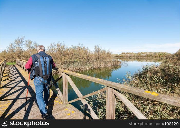 Hiker (60 years old) on a wooden footbridge on the river. Rear view.