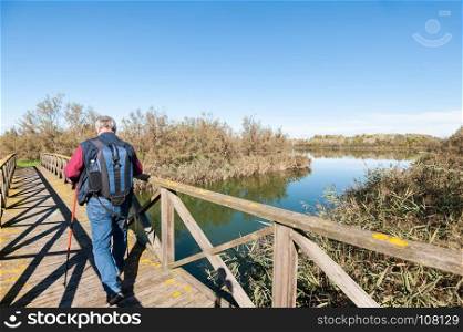 Hiker (60 years old) on a wooden footbridge on the river. Rear view.