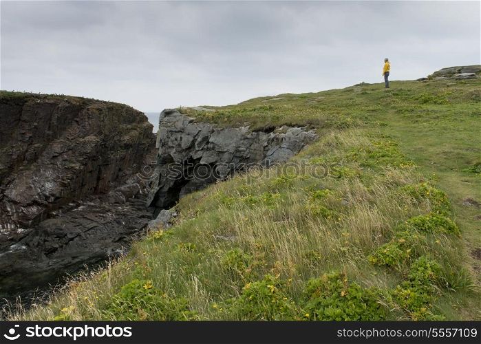 Hiker at coast, North Bird Island, Little Catalina, Bonavista Peninsula, Newfoundland And Labrador, Canada