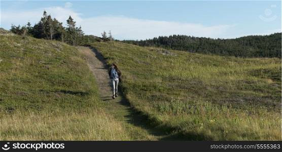 Hiker at Long Point Hiking Trail, Crow Head, Twillingate, North Twillingate Island, Newfoundland And Labrador, Canada