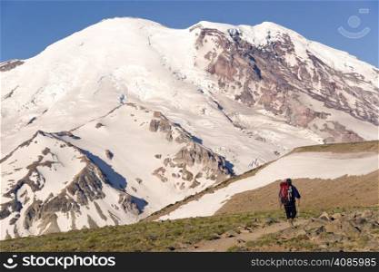 Hiker heads up the trial towards Mount Rainier