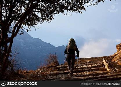 Hiker in Himalayan mountains
