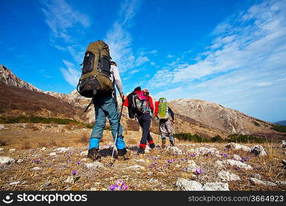 Hiker in mountains