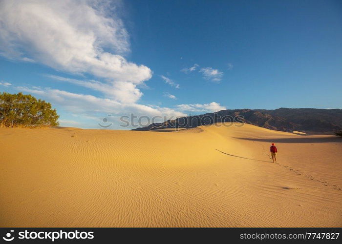 Hiker in sand desert. Sunrise time.