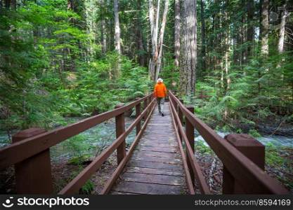 Hiker on the bridge in green  forest