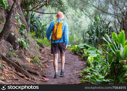 Hiker on the trail in green jungle, Hawaii, USA