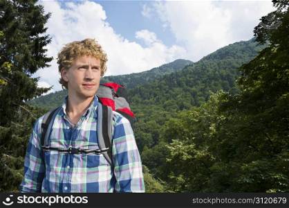 Hiker, surrounded by trees in a vast forest