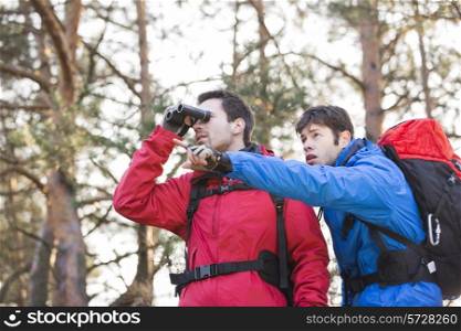 Hiker using binoculars while friend showing him something in forest