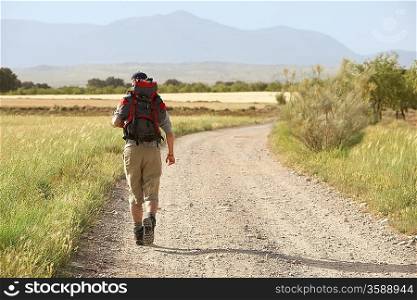 Hiker Walking on Country Road
