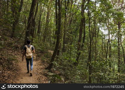 hiker with backpack walking forest. High resolution photo. hiker with backpack walking forest. High quality photo