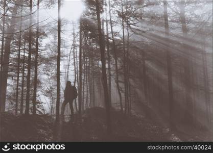 Hiker with backpacks enjoying the warm sun rays passing through trees in the forest