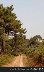 Hiker with hat and backpack for a nice trail with pine