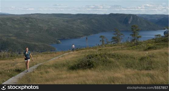 Hikers at Lookout Trail, Lookout Hills, Bonne Bay, Gros Morne National Park, Newfoundland And Labrador, Canada