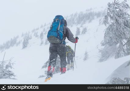 Hikers in the winter mountains