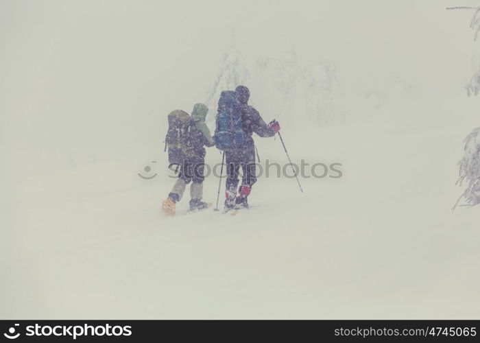 Hikers in the winter mountains