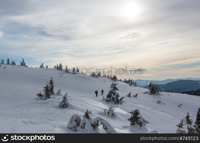 Hikers in the winter mountains