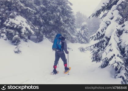 Hikers in the winter mountains