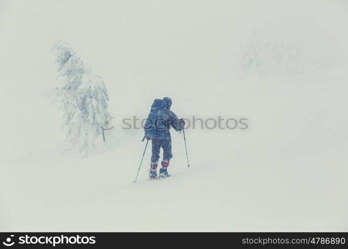 Hikers in the winter mountains