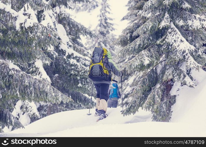 Hikers in the winter mountains