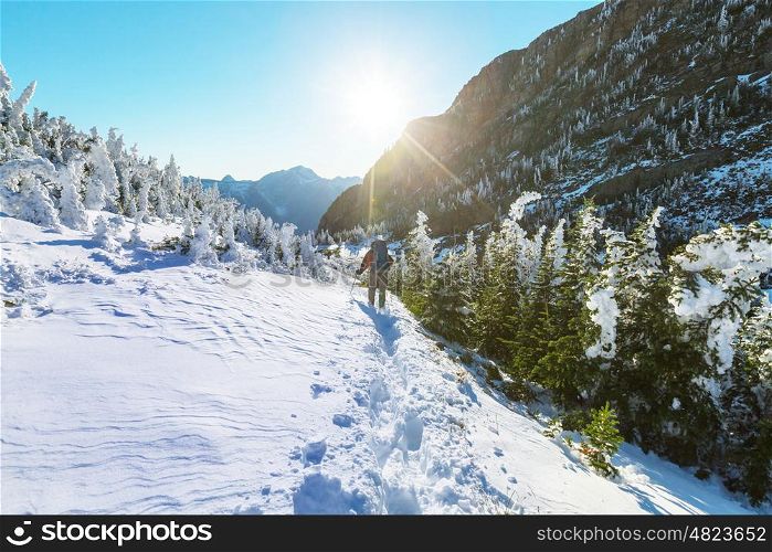 Hikers in the winter mountains