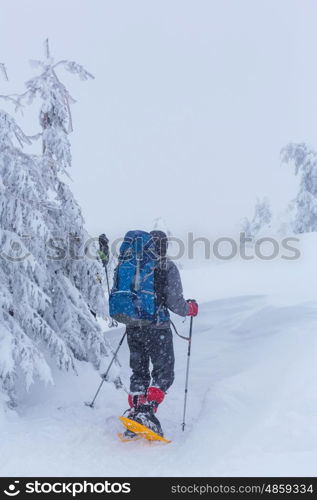 Hikers in the winter mountains