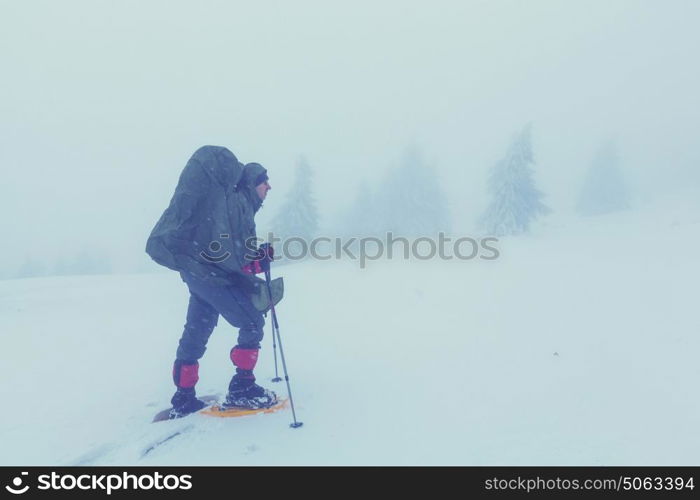 Hikers in the winter mountains