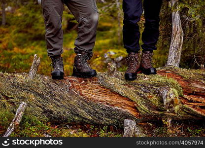 Hikers standing on fallen tree, Sarkitunturi, Lapland, Finland