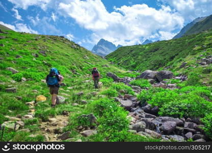 Hikers with large backpacks hiking on mountain Kackarlar,a mountain range that rises above Black Sea coast in eastern Rize,Turkey.16 August 2016. hikers with large backpacks hiking on mountain Kackarlar