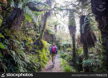 Hiking and tr&ing in New Zealand. Travel and adventure concept
