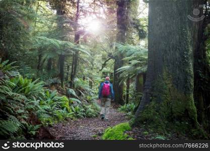 Hiking and tr&ing in New Zealand. Travel and adventure concept