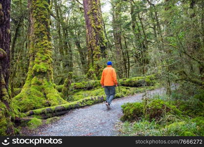 Hiking and tr&ing in New Zealand. Travel and adventure concept