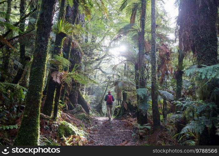 Hiking and tr&ing in New Zealand. Travel and adventure concept