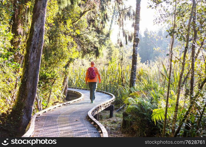 Hiking and tramping in New Zealand. Travel and adventure concept