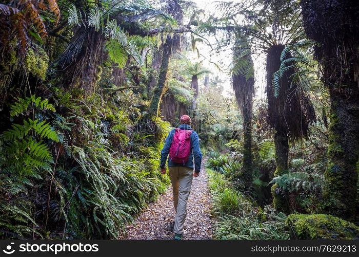 Hiking and tramping in New Zealand. Travel and adventure concept
