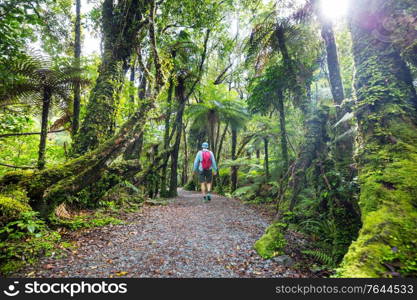 Hiking and tramping in New Zealand. Travel and adventure concept