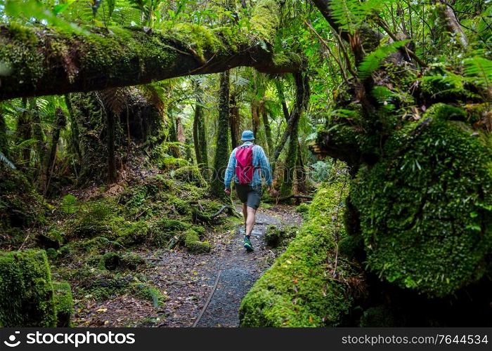 Hiking and tramping in New Zealand. Travel and adventure concept