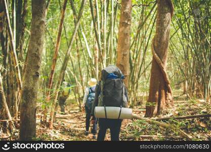 hiking group in forest, travel in mountain for camping at sunny day with color effect. subject is blurred.