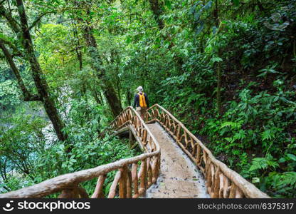 Hiking in green tropical jungle, Costa Rica, Central America