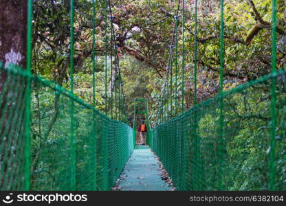 Hiking in green tropical jungle, Costa Rica, Central America