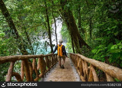 Hiking in green tropical jungle, Costa Rica, Central America