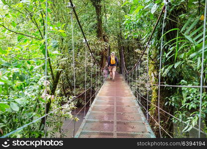 Hiking in green tropical jungle, Costa Rica, Central America