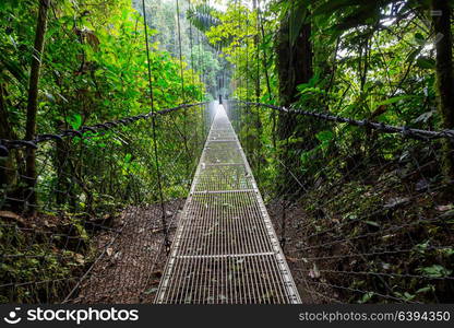 Hiking in green tropical jungle, Costa Rica, Central America