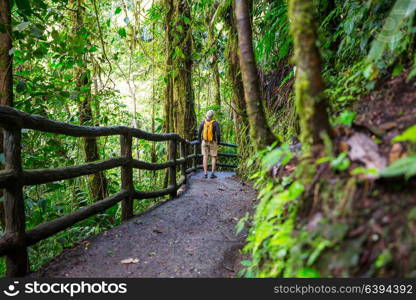 Hiking in green tropical jungle, Costa Rica, Central America