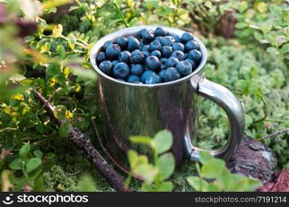 hiking in the mountains. cup of blueberries